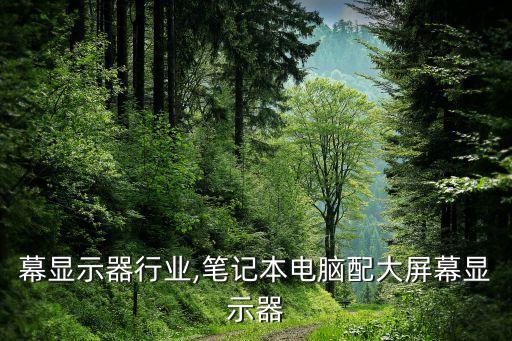大屏幕显示器行业,笔记本电脑配大屏幕显示器