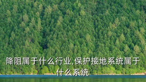 接地降阻属于什么行业,保护接地系统属于什么系统