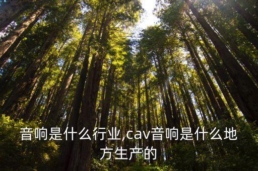 生产音响是什么行业,cav音响是什么地方生产的