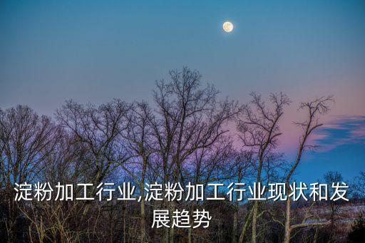 中国淀粉加工行业,淀粉加工行业现状和发展趋势