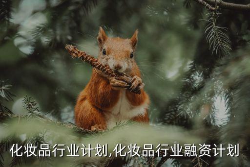 巴西化妆品行业计划,化妆品行业融资计划