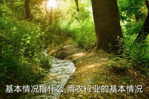 行业基本情况指什么,雨衣行业的基本情况