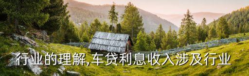 车贷行业的理解,车贷利息收入涉及行业