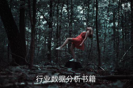 金融行业数据分析书籍