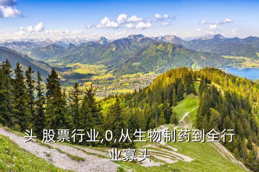 双寡头 股票行业,0,从生物制药到全行业寡头