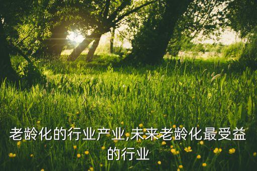 受益老龄化的行业产业,未来老龄化最受益的行业