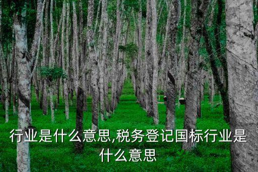国标行业是什么意思,税务登记国标行业是什么意思