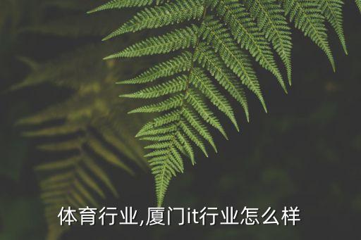 厦门体育行业,厦门it行业怎么样