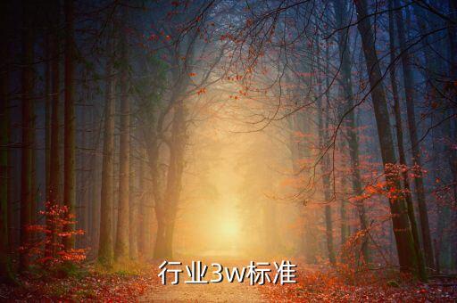 保险行业3w标准