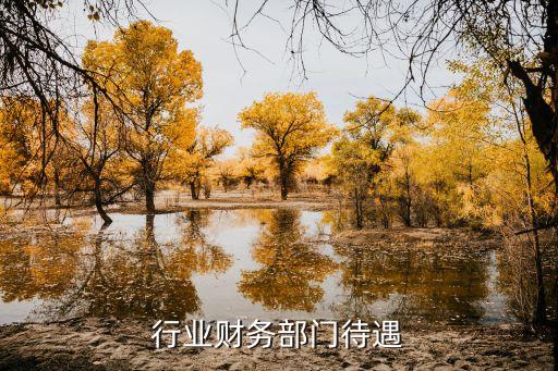 电力行业财务部门待遇
