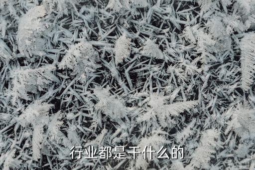 酒店行业都是干什么的