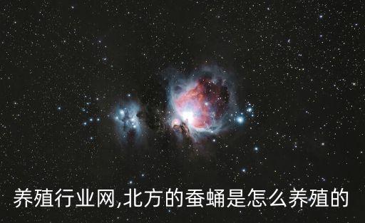 蚕蛹养殖行业网,北方的蚕蛹是怎么养殖的