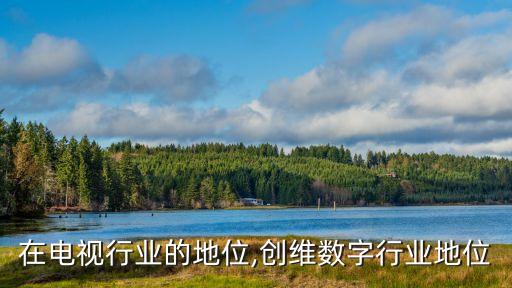 创维在电视行业的地位,创维数字行业地位