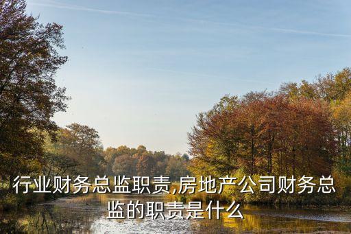 金融行业财务总监职责,房地产公司财务总监的职责是什么