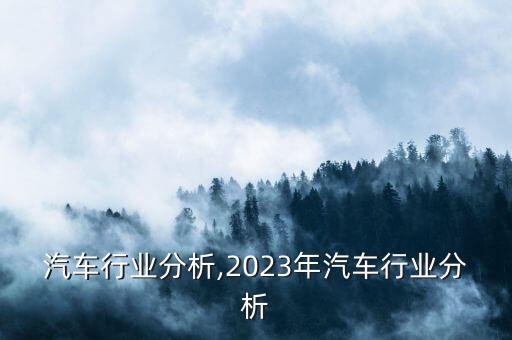 瑞典汽车行业分析,2023年汽车行业分析