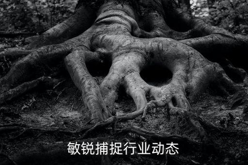 如何敏锐捕捉行业动态