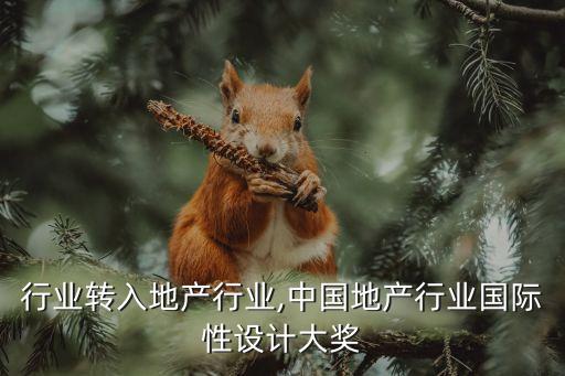 设计行业转入地产行业,中国地产行业国际性设计大奖