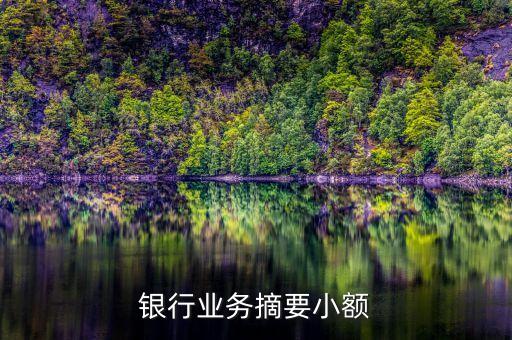 工商银行业务摘要小额