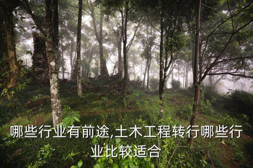 转行哪些行业有前途,土木工程转行哪些行业比较适合