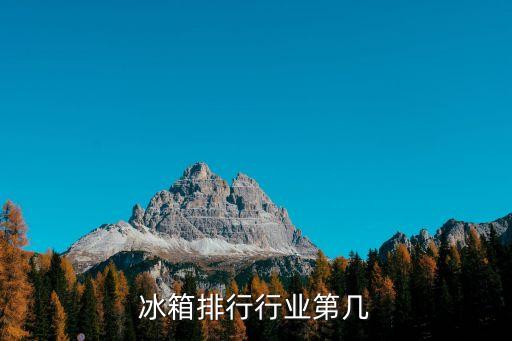 美菱冰箱排行行业第几