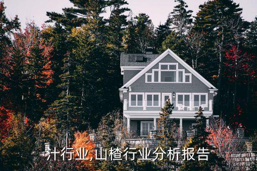 山楂汁行业,山楂行业分析报告