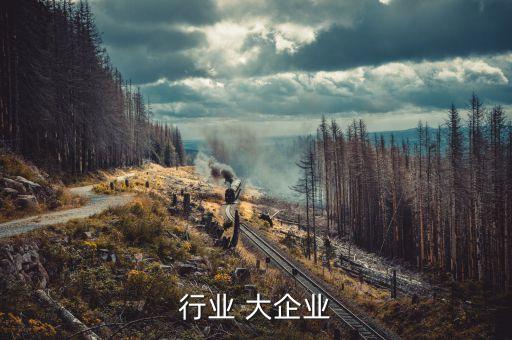 光伏行业 大企业