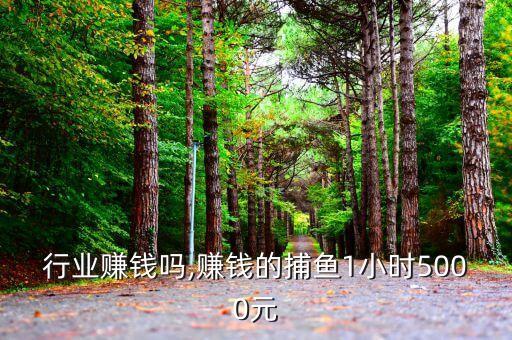 捕鱼行业赚钱吗,赚钱的捕鱼1小时5000元