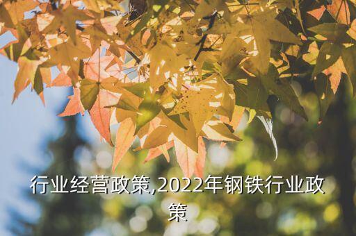 钢铁行业经营政策,2022年钢铁行业政策