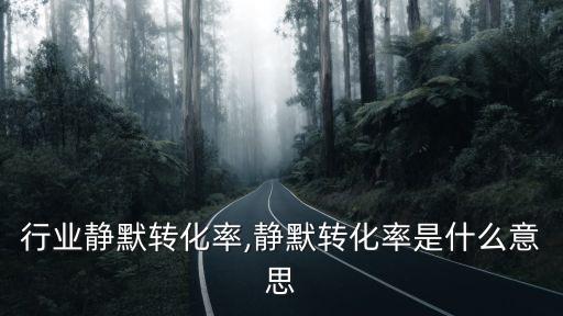 淘宝行业静默转化率,静默转化率是什么意思