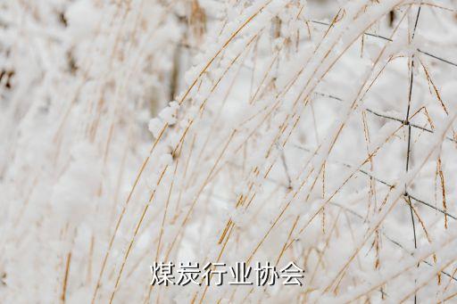 陕西煤炭行业协会