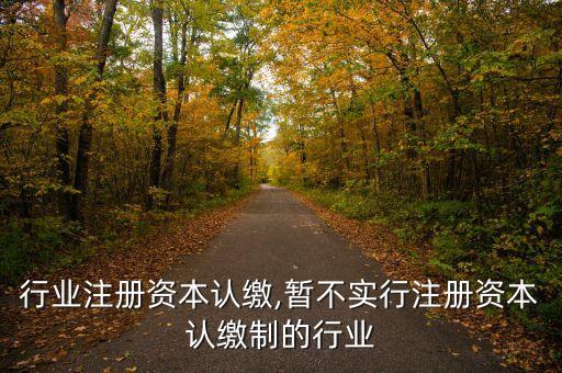 商贸行业注册资本认缴,暂不实行注册资本认缴制的行业
