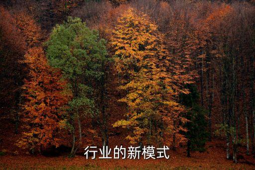 墙布行业的新模式