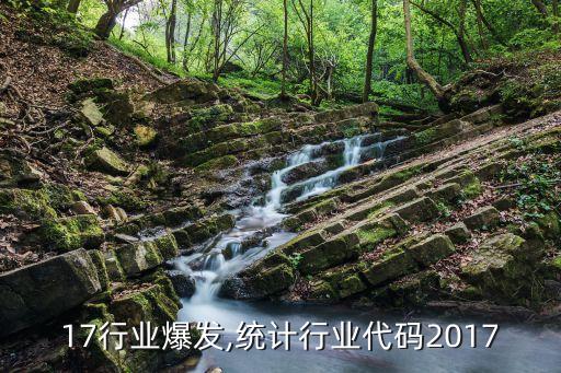 2017行业爆发,统计行业代码2017