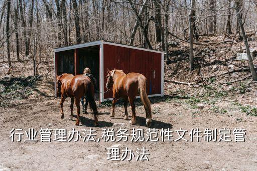 税务行业管理办法,税务规范性文件制定管理办法