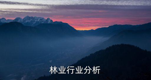 永安林业行业分析