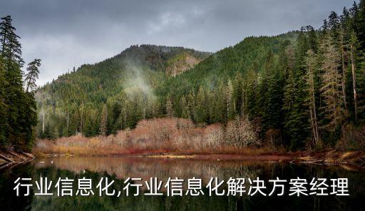 林业行业信息化,行业信息化解决方案经理