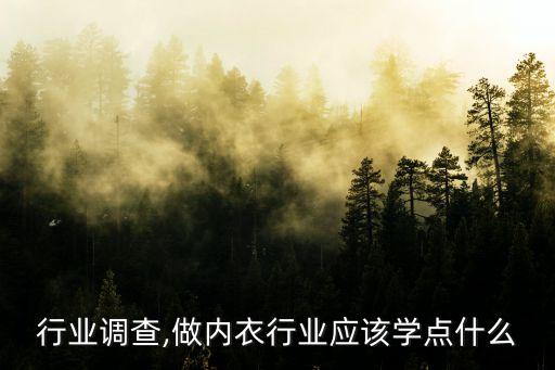 内衣行业调查,做内衣行业应该学点什么