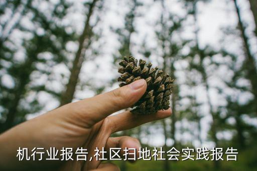 扫地机行业报告,社区扫地社会实践报告