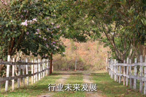 钟表行业未来发展