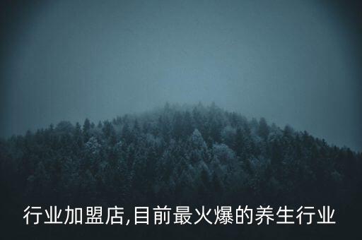 健康行业加盟店,目前最火爆的养生行业