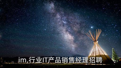 行业im,行业IT产品销售经理招聘
