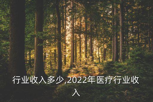 医疗行业收入多少,2022年医疗行业收入