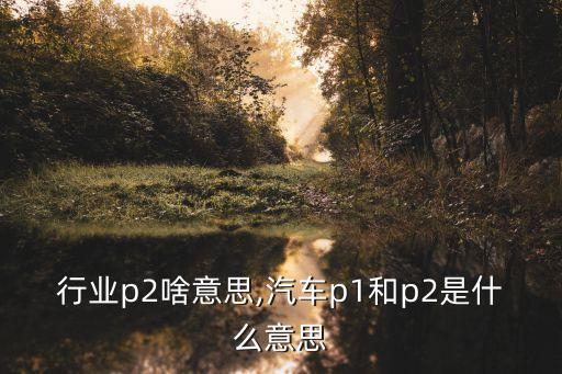 汽车行业p2啥意思,汽车p1和p2是什么意思