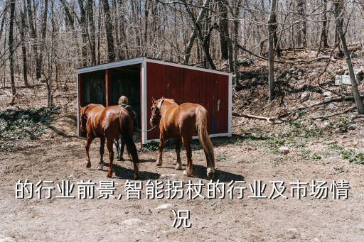 拐杖的行业前景,智能拐杖的行业及市场情况