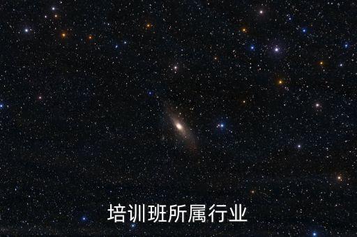 美术培训班所属行业