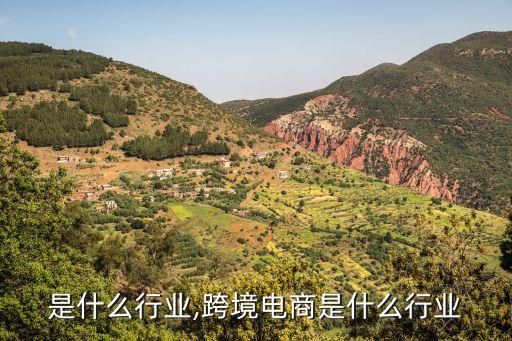 电商是什么行业,跨境电商是什么行业