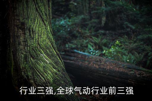 享佳 行业三强,全球气动行业前三强