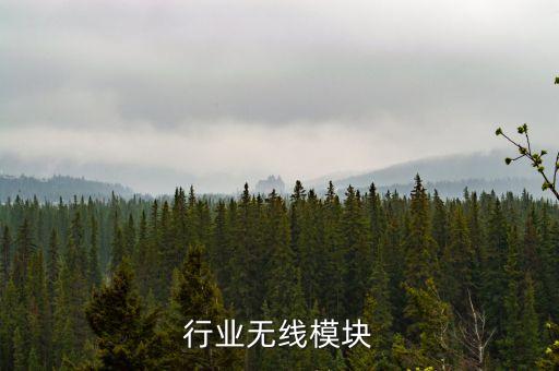 铁路行业无线模块