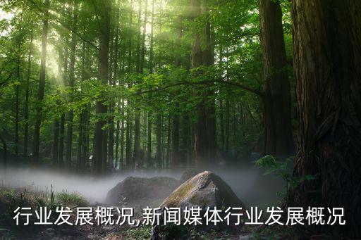冲压行业发展概况,新闻媒体行业发展概况