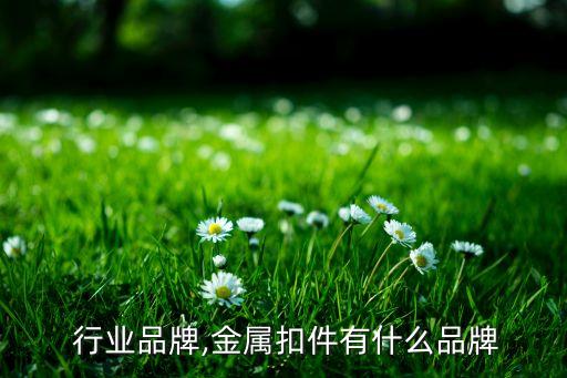 扣件 行业品牌,金属扣件有什么品牌